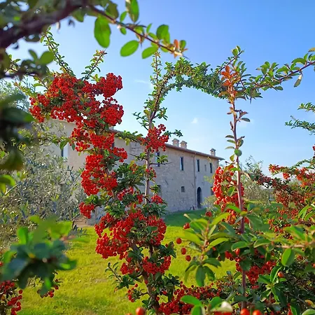 Дом отдыха Casale Il Cantico Della Tenerezza
